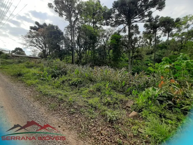 TERRENO RESIDENCIAL em Nova Petrópolis - RS, Linha Olinda
