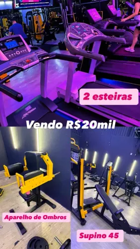 Academia