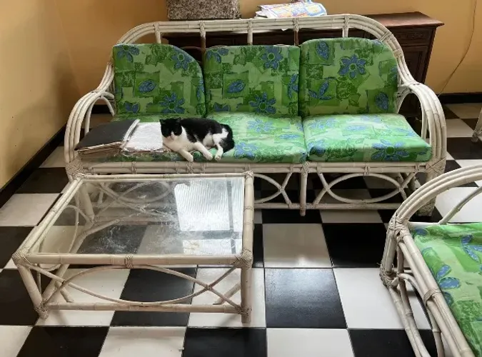 Conjunto de sofá poltronas e mesinhas em vime
