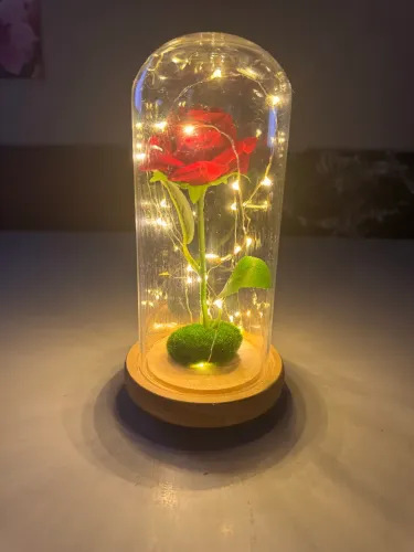 Rosa Encantada A Bela e a Fera com Luz LED Redoma Decorativa Presente Romântico