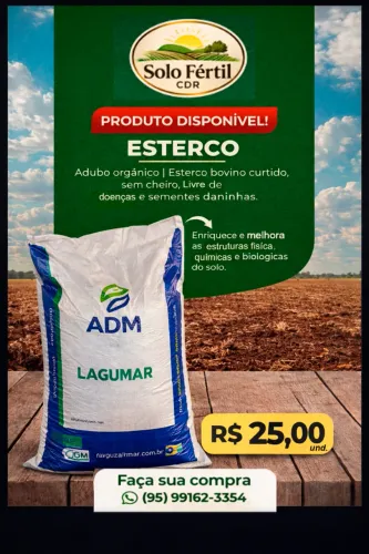 Esterco de gado obs:este nao esta curtido !