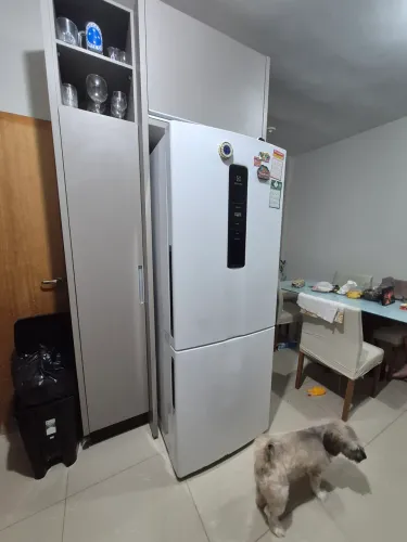 Geladeira Electrolux Frost Free Inverter 490L