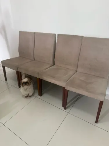 4 cadeiras Líder