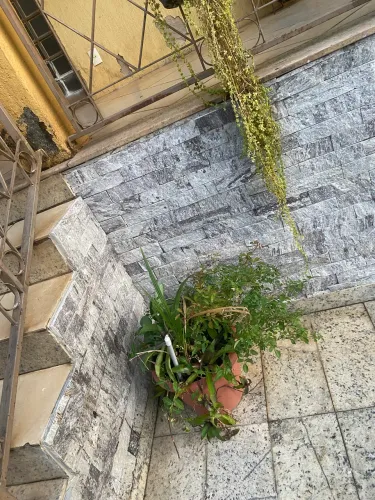 Pedreiro disponível 