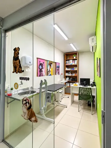 Consulta veterinária para cães e gatos na Marambaia, Belém - Ver o Pet