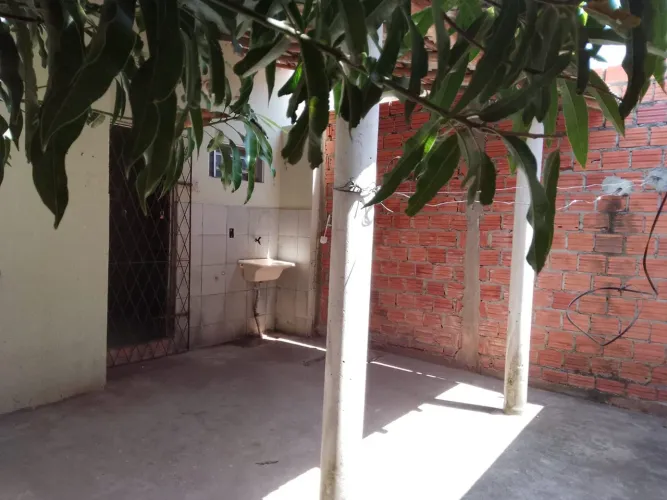 Casa Miguel Arraes germinada