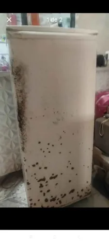 Geladeira