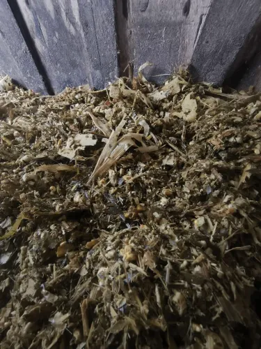 Silagem Ensacada de Milho (24 a 28 kg) - Retirada no Local
