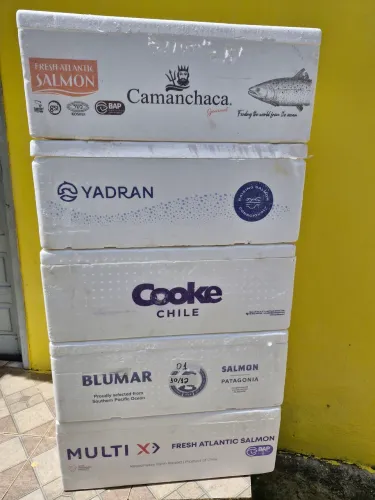 Caixa de Isopor