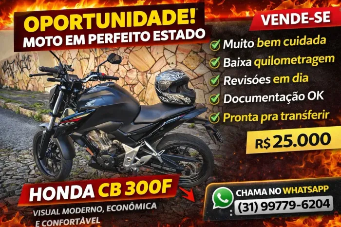Cb 300f Twister flex 2025