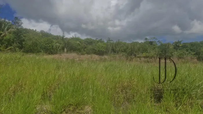 FAZENDA REAL: APENAS R$ 2.000 POR MÊS NA NOTA PROMISSÓRIA (SEM JUROS!)
