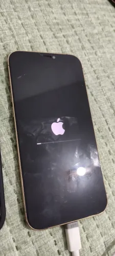 iPhone 12 Pro Max 256gb
