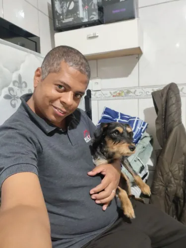 Doa-se cachorra fêmea