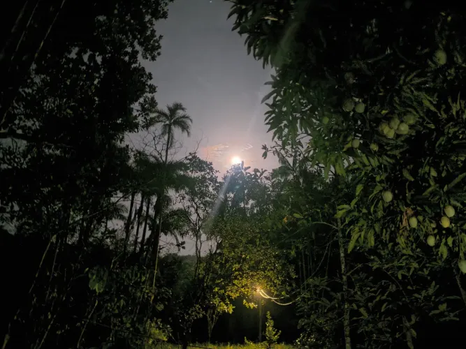 Sítio paraíso com 16 hectares de terra, com várias plantações e igarapé particular.