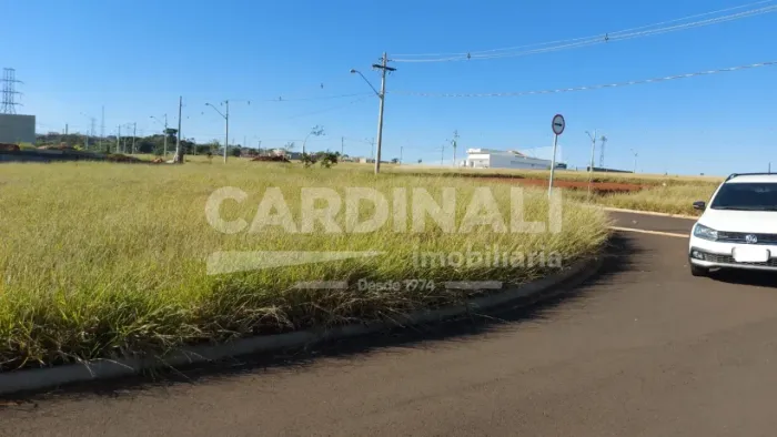 Terreno Padrão em São Carlos