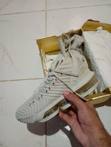 Lebron James HFR16