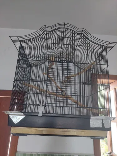 Gaiola preta em formato colonial