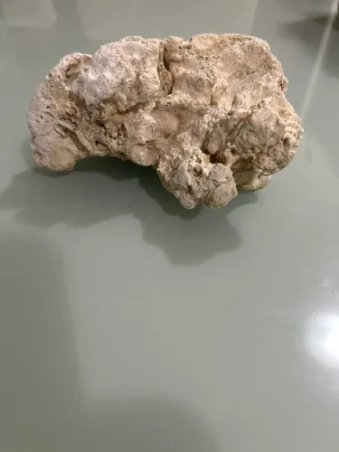 Pedra decora aquário