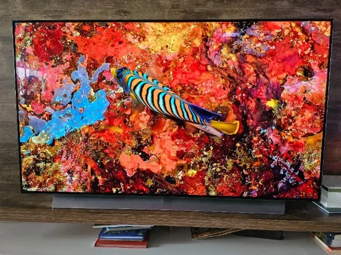 TV LG OLED 55" C1