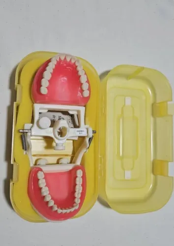 Manequim de dentística Pronews 