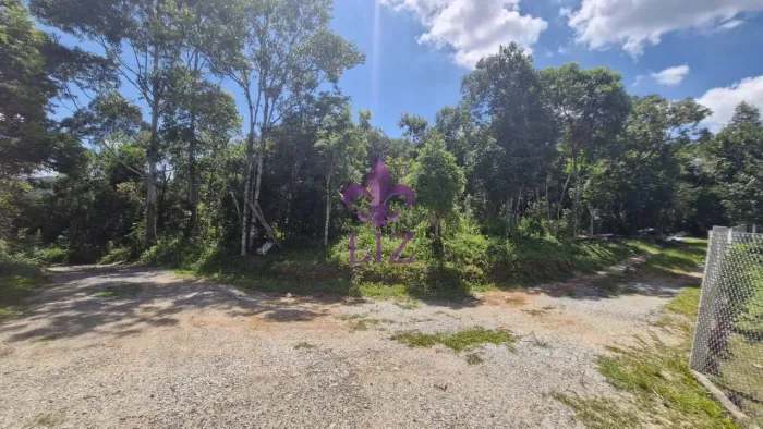 Excelente área rural para formação de chácara no Mandassaia em Campina Grande do Sul