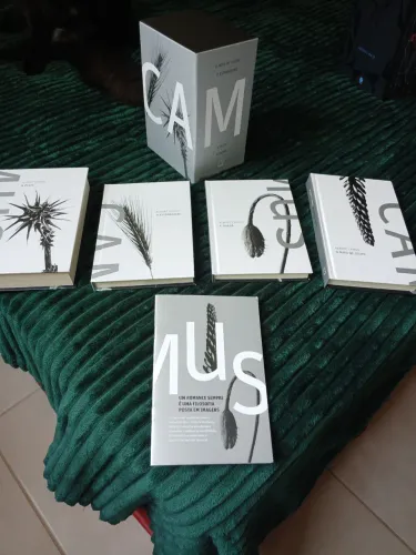 Box Albert Camus - 4 Livros, Edição de Colecionador