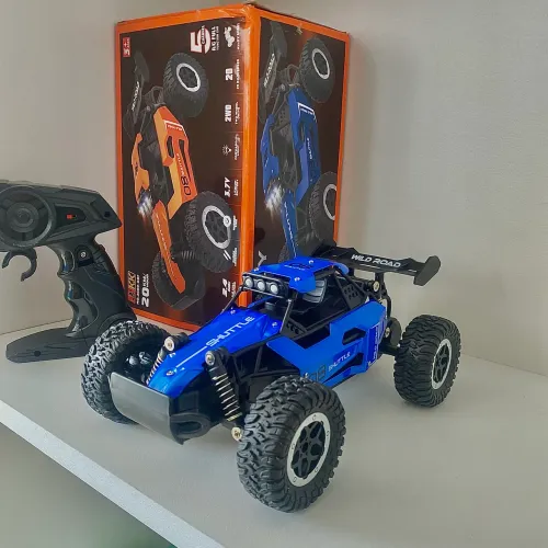 Carrinho de Controle Remoto Off-Road - 20 km/h