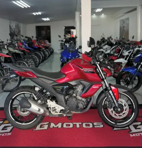 FZ 15 2024