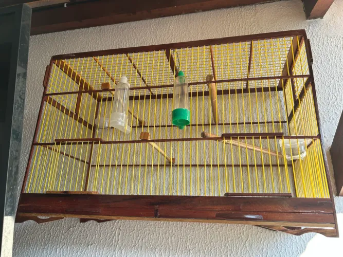 Gaiola 50 cm de largura por 30 cm de altura