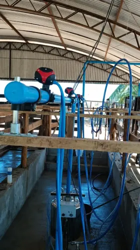 Ordenha canalizada 04 conjuntos marca sulinox 