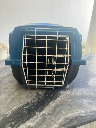 Caixa de transporte pet