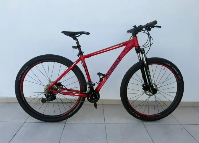 Bicicleta Audax 100