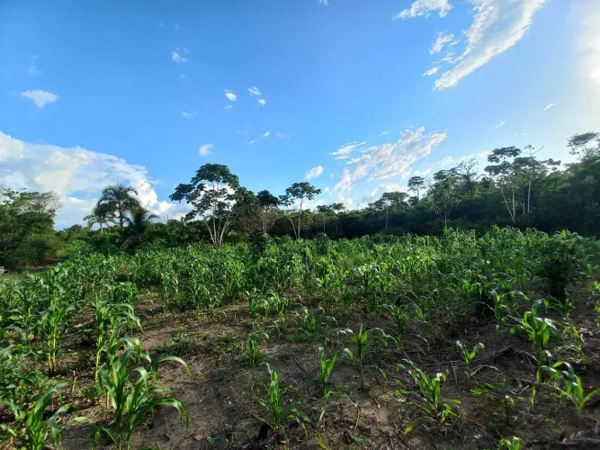 Vendo Terreno com 35 hectares