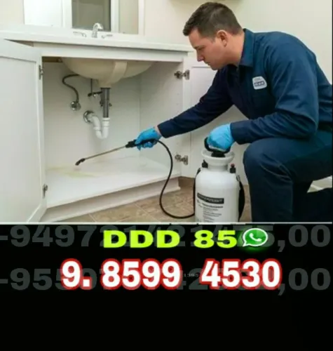 Dedetização Segura e Eficiente para Sua Casa