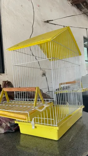Vende-se gaiola grande 150 R$