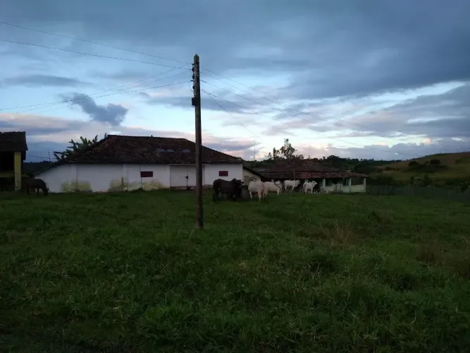André Barros Vende São Lourenço