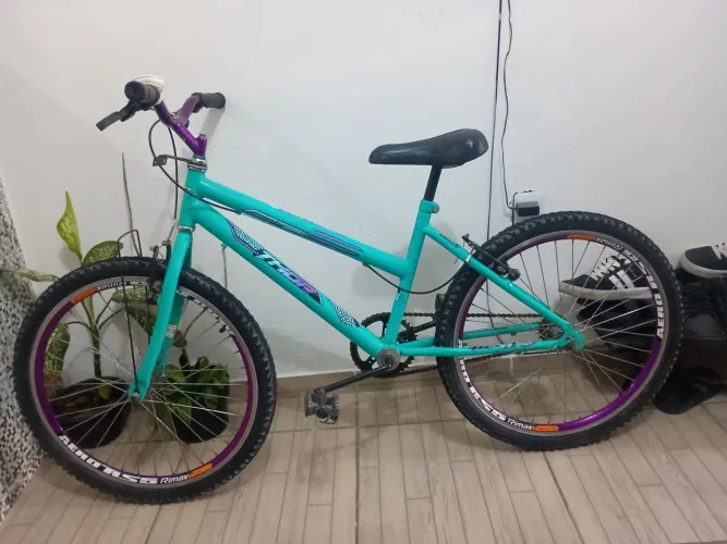 Bicicleta aro 24