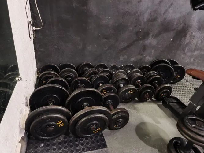 Halteres com bancada de 12 a 20 kilos