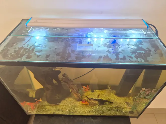 Aquário completo + mesa