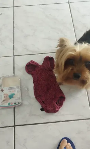 Roupa Protetora e Pós Cirúrgica Pet Met