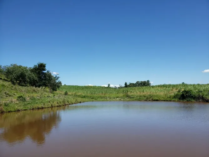 Sítio 23 Alqueires, Rico em Água com Lago com Peixes, Fácil Acesso, Ótima Localização, 80%