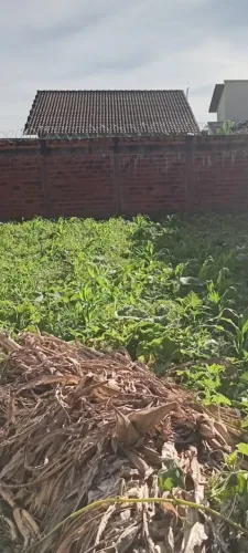 Lote Residencial Solar das Paineiras, 250m2 10 por 25, setor consolidado, asfalt