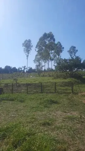 Sítio com 3 quartos à venda, 0m² - LAMOUNIER