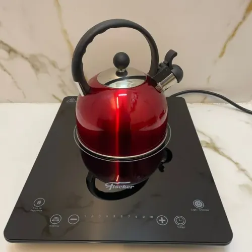 Cooktop Fischer 1 Queimador Indução Mesa Vitrocerâmica 220v Novo