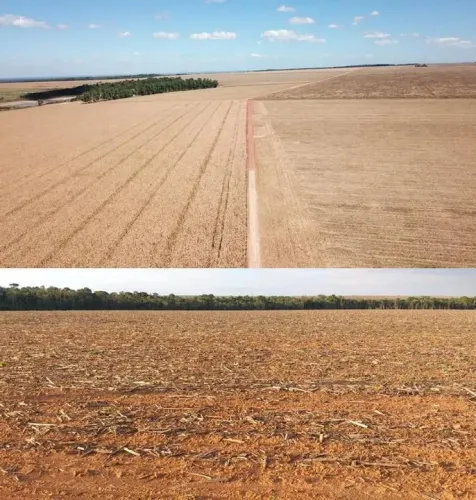 Fazenda 34.000 hect a 80km de Confresa MT. 650 milhões.
