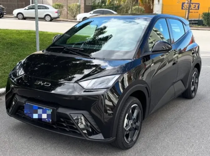 BYD Dolphin Mini (Elétrico) 2024