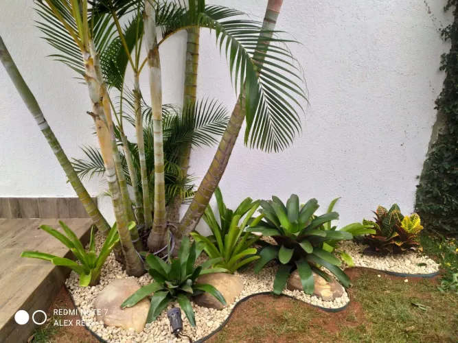 Paisagismo e projetos 