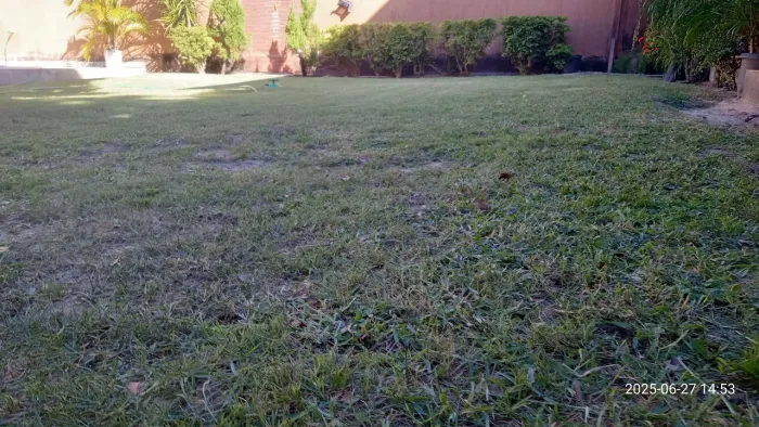 Serviço de jardinagem dedetização decoração em geral 
