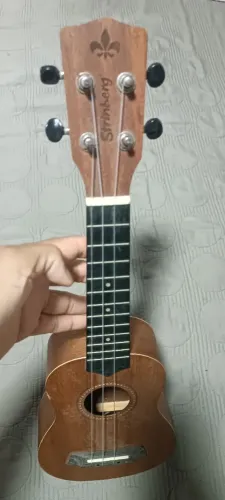 Troco akulele strimberg