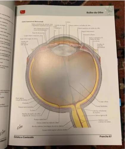 Atlas Medicina Netter 5 Edição 